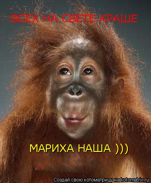 ВСЕХ НА СВЕТЕ КРАШЕ МАРИХА НАША )))... Котоматрица: ВСЕХ НА СВЕТЕ КРАШЕ МАРИХА НАША )))