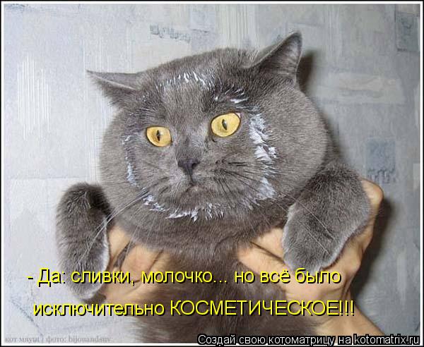 - Да: сливки, молочко... но всё было исключительно КОСМЕТИЧЕСКОЕ!!!... Котоматрица: - Да: сливки, молочко... но всё было исключительно КОСМЕТИЧЕСКОЕ!!!