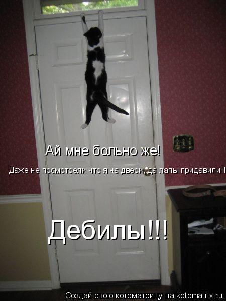 Ай мне больно же! Даже не посмотрели что я на двери, да лапы придавили!!! Дебилы!!!... Котоматрица: Ай мне больно же! Даже не посмотрели что я на двери, да лапы придавили!!! Дебилы!!!