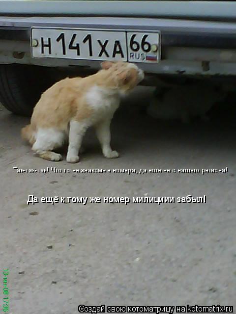 Так-так-так! Что то не знакомые номера, да ещё не с нашего региона! Да ещё к тому же номер милициии з... Котоматрица: Так-так-так! Что то не знакомые номера, да ещё не с нашего региона! Да ещё к тому же номер милициии забыл!