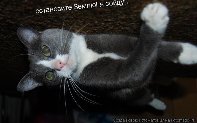 остановите Землю! я сойду!!... Котоматрица: остановите Землю! я сойду!!