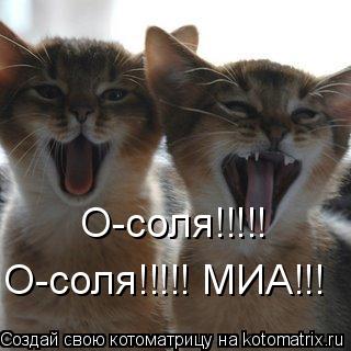 О-соля!!!!! О-соля!!!!! МИА!!!... Котоматрица: О-соля!!!!! О-соля!!!!! МИА!!!