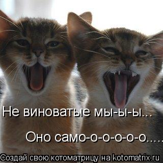 Не виноватые мы-ы-ы... Оно само-о-о-о-о-о......... Котоматрица: Не виноватые мы-ы-ы... Оно само-о-о-о-о-о......