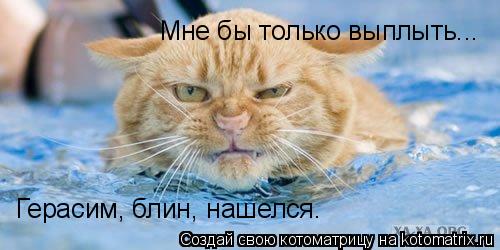 Мне бы только выплыть... Герасим, блин, нашелся.... Котоматрица: Мне бы только выплыть... Герасим, блин, нашелся.