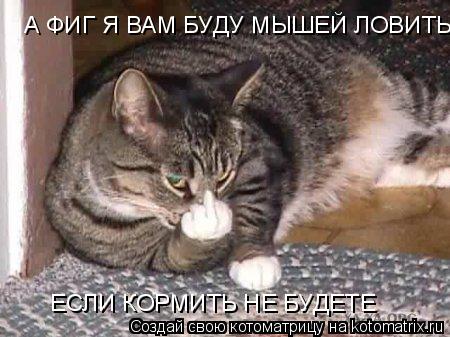 А ФИГ Я ВАМ БУДУ МЫШЕЙ ЛОВИТЬ ЕСЛИ КОРМИТЬ НЕ БУДЕТЕ... Котоматрица: А ФИГ Я ВАМ БУДУ МЫШЕЙ ЛОВИТЬ ЕСЛИ КОРМИТЬ НЕ БУДЕТЕ