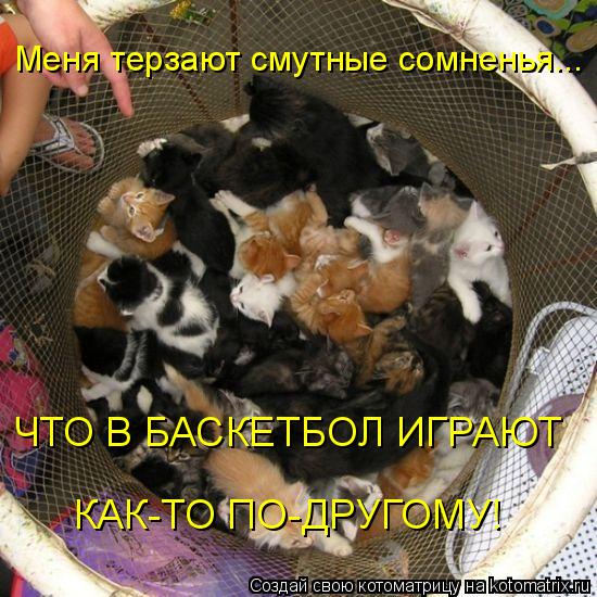 Меня терзают смутные сомненья... ЧТО В БАСКЕТБОЛ ИГРАЮТ КАК-ТО ПО-ДРУГОМУ!... Котоматрица: Меня терзают смутные сомненья... ЧТО В БАСКЕТБОЛ ИГРАЮТ КАК-ТО ПО-ДРУГОМУ!