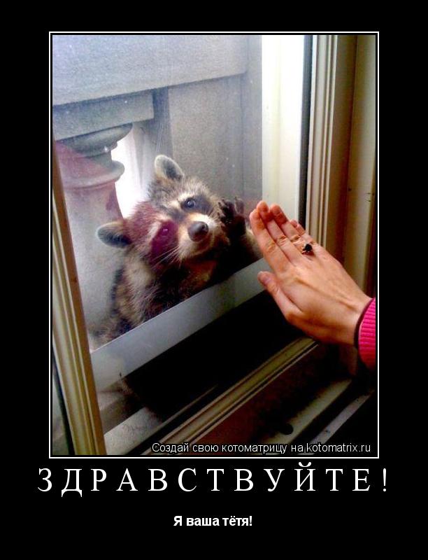 Котоматрица: Здравствуйте! Я ваша тётя!