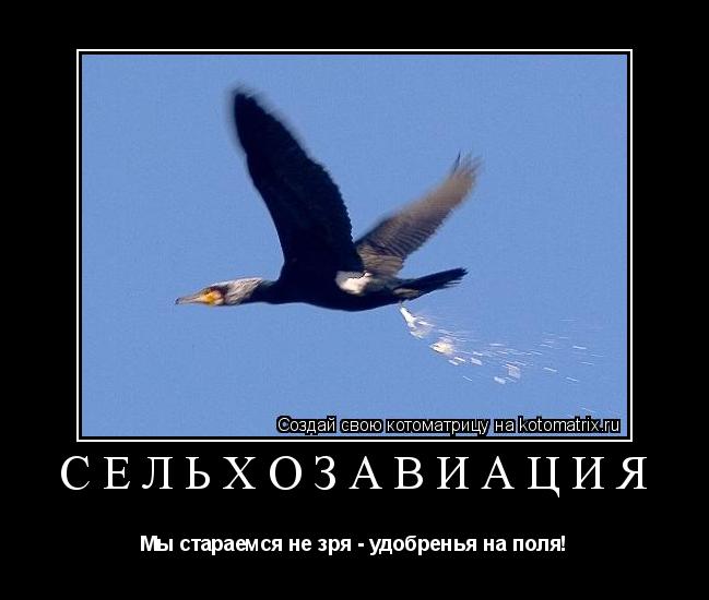 Сельхозавиация Мы стараемся не зря - удобренья на поля!... Котоматрица: Сельхозавиация Мы стараемся не зря - удобренья на поля!