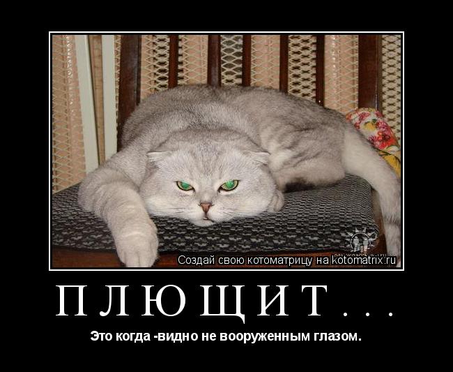 Котоматрица: Плющит... Это когда -видно не вооруженным глазом.