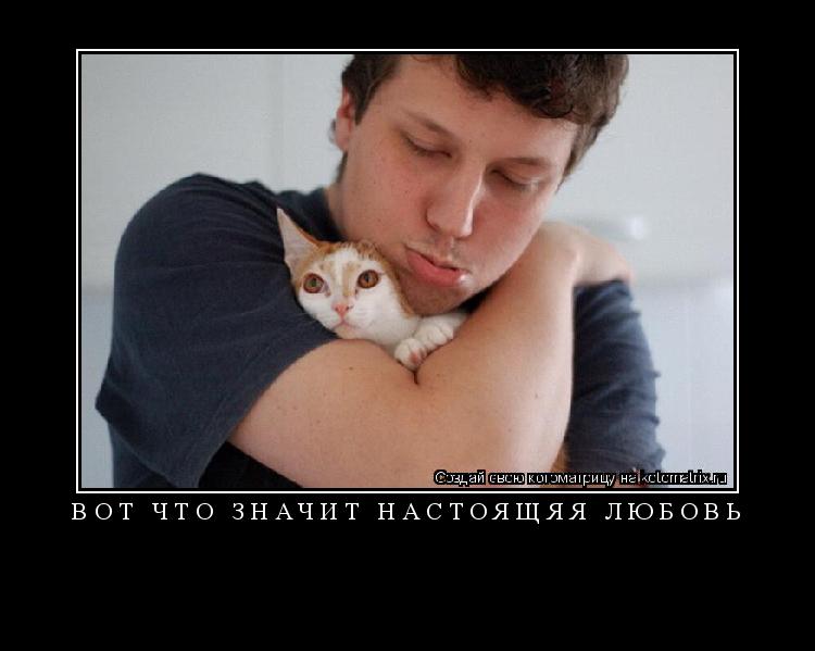 вот что значит настоящяя любовь ... Котоматрица: вот что значит настоящяя любовь