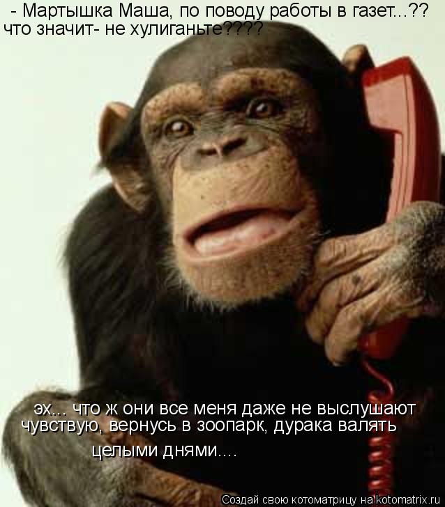 - Мартышка Маша, по поводу работы в газет...?? что значит- не хулиганьте???? эх... что ж они все меня... Котоматрица: - Мартышка Маша, по поводу работы в газет...?? что значит- не хулиганьте???? эх... что ж они все меня даже не выслушают чувствую, вернусь в зоопарк,
