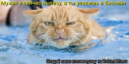 Мужик я сейчас вылезу, а ты упадешь в бассейн... Котоматрица: Мужик я сейчас вылезу, а ты упадешь в бассейн