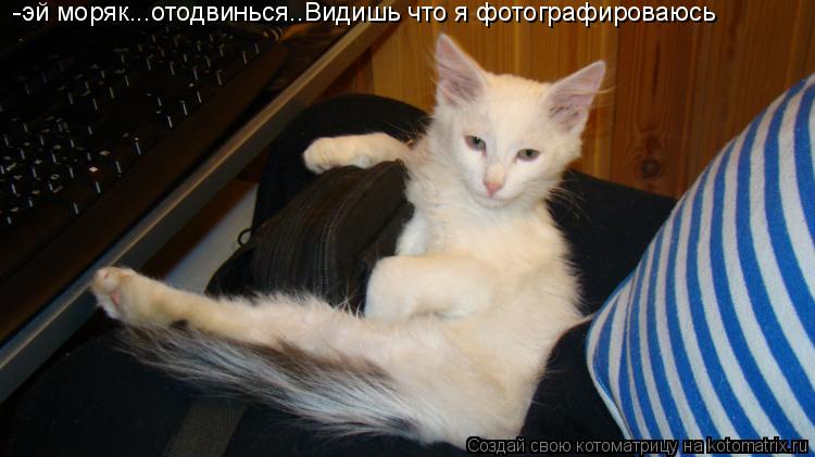 -эй моряк...отодвинься..Видишь что я фотографироваюсь... Котоматрица: -эй моряк...отодвинься..Видишь что я фотографироваюсь