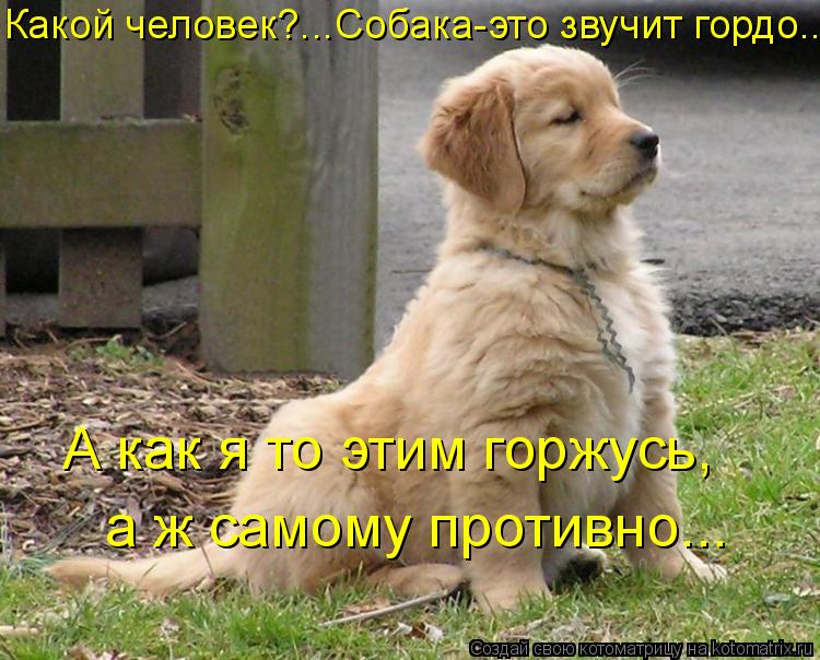 Какой человек?...Собака-это звучит гордо….. а ж самому противно... А как я то этим горжусь,... Котоматрица: Какой человек?...Собака-это звучит гордо….. а ж самому противно... А как я то этим горжусь,