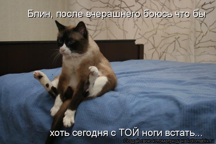 Блин, после вчерашнего боюсь что бы хоть сегодня с ТОЙ ноги встать...... Котоматрица: Блин, после вчерашнего боюсь что бы хоть сегодня с ТОЙ ноги встать...