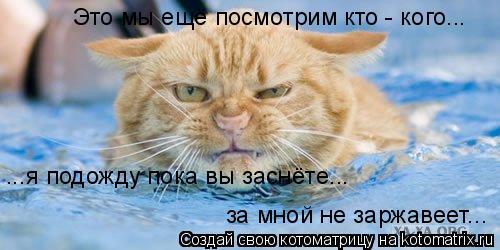 ...я подожду пока вы заснёте... за мной не заржавеет... ...я подожду пока вы заснёте... за мной не з... Котоматрица: ...я подожду пока вы заснёте... за мной не заржавеет... ...я подожду пока вы заснёте... за мной не заржавеет... Это мы ещё посмотрим кто - кого...