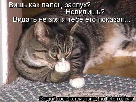 Вишь как палец распух? Невидишь? Видать не зря я тебе его показал...... Котоматрица: Вишь как палец распух? Невидишь? Видать не зря я тебе его показал...
