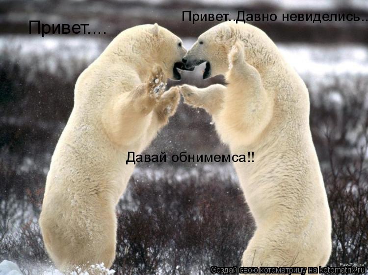 Котоматрица: Привет.... Привет..Давно невиделись.. Давай обнимемса!!