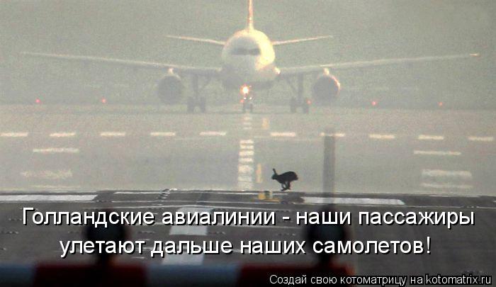 Голландские авиалинии - наши пассажиры улетают дальше наших самолетов!... Котоматрица: Голландские авиалинии - наши пассажиры улетают дальше наших самолетов!