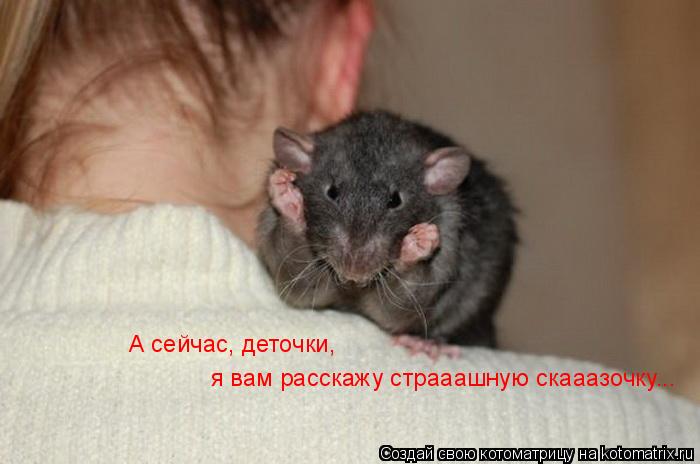 А сейчас, деточки, я вам расскажу страаашную скааазочку...... Котоматрица: А сейчас, деточки, я вам расскажу страаашную скааазочку...