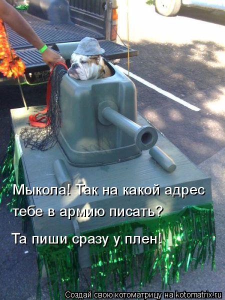 Мыкола! Так на какой адрес тебе в армию писать? Та пиши сразу у плен!... Котоматрица: Мыкола! Так на какой адрес тебе в армию писать? Та пиши сразу у плен!