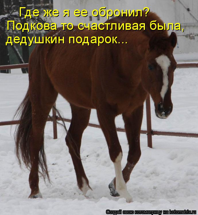 Где же я ее обронил? Подкова то счастливая была, дедушкин подарок...... Котоматрица: Где же я ее обронил? Подкова то счастливая была, дедушкин подарок...