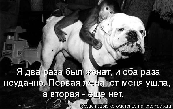 Я два раза был женат, и оба раза неудачно. Первая жена от меня ушла, а вторая - еще нет.... Котоматрица: Я два раза был женат, и оба раза неудачно. Первая жена от меня ушла, а вторая - еще нет.