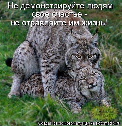 Не демонстрируйте людям свое счастье - не отравляйте им жизнь!... Котоматрица: Не демонстрируйте людям свое счастье - не отравляйте им жизнь!