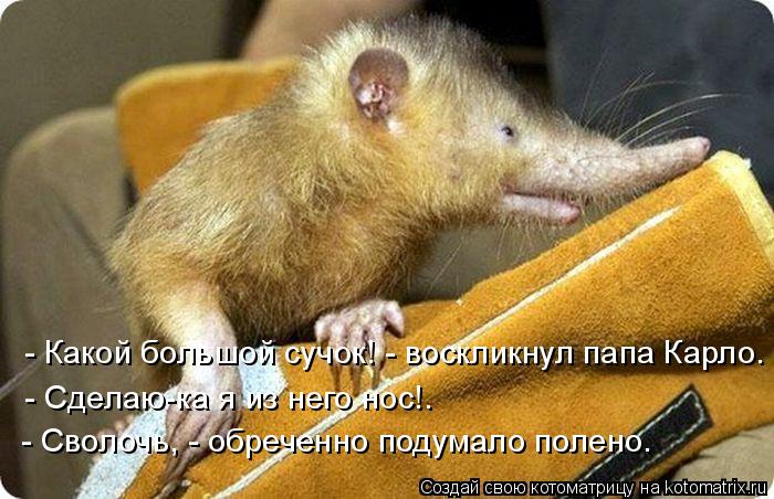 - Какой большой сучок! - воскликнул папа Карло. - Сделаю-ка я из него нос!. - Сволочь, - обреченно по... Котоматрица: - Какой большой сучок! - воскликнул папа Карло. - Сделаю-ка я из него нос!. - Сволочь, - обреченно подумало полено.