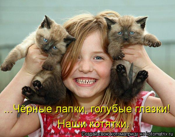 ...Чёрные лапки, голубые глазки! Наши котятки.... Котоматрица: ...Чёрные лапки, голубые глазки! Наши котятки.