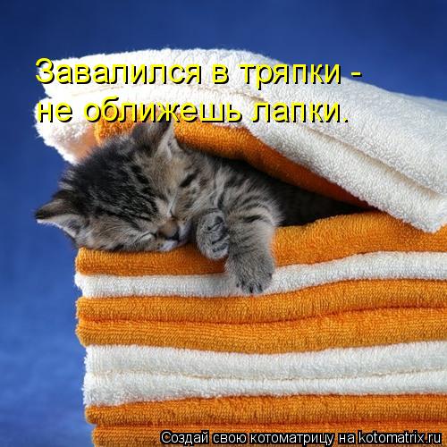 Завалился в тряпки - не оближешь лапки.... Котоматрица: Завалился в тряпки - не оближешь лапки.
