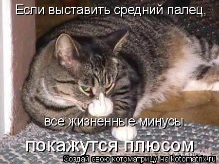 Если выставить средний палец, все жизненные минусы покажутся плюсом... Котоматрица: Если выставить средний палец, все жизненные минусы покажутся плюсом