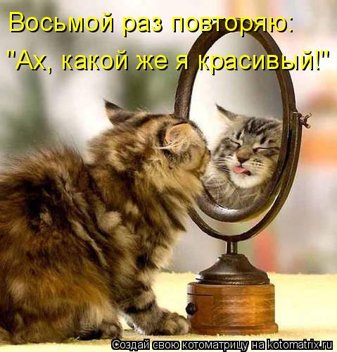 Котоматрица: Восьмой раз повторяю:  "Ах, какой же я красивый!"