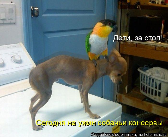 Котоматрица: Дети, за стол! Сегодня на ужин собачьи консервы!