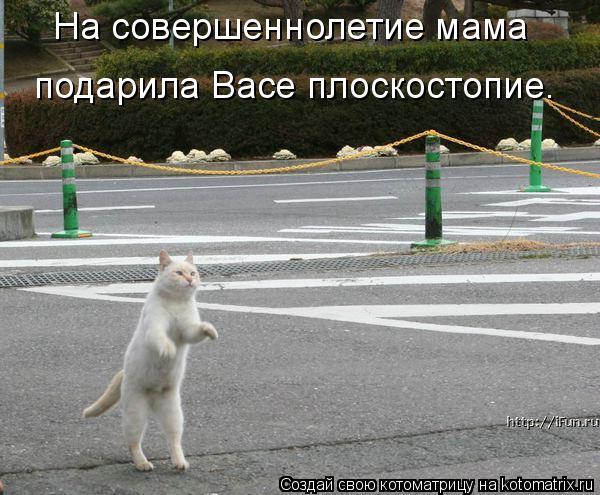 Котоматрица: На совершеннолетие мама  подарила Васе плоскостопие.