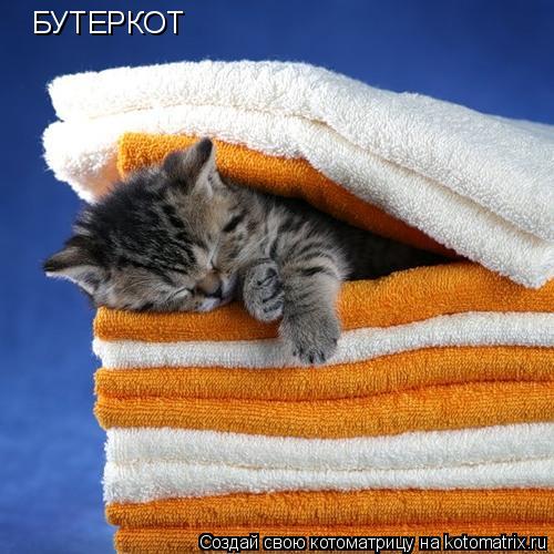 Котоматрица: БУТЕРКОТ