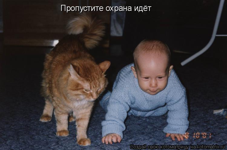 Котоматрица: Пропустите охрана идёт