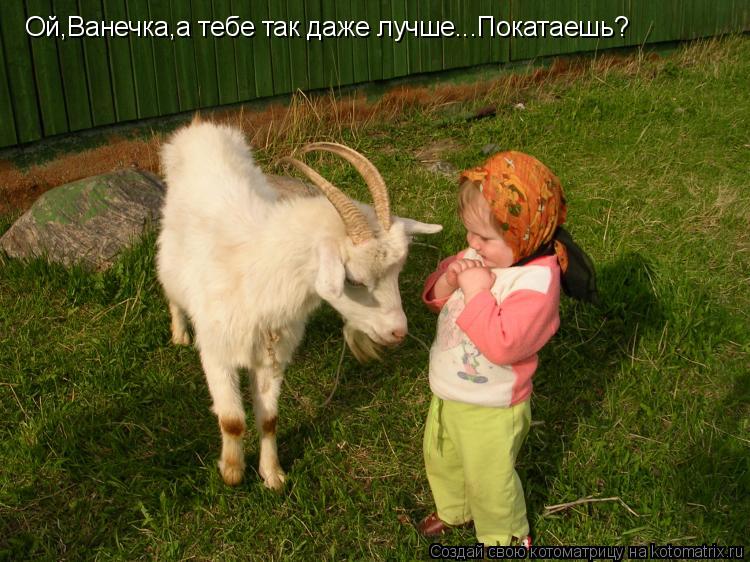 Ой,Ванечка,а тебе так даже лучше...Покатаешь?... Котоматрица: Ой,Ванечка,а тебе так даже лучше...Покатаешь?