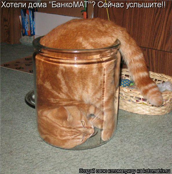 Хотели дома "БанкоМАТ"? Сейчас услышите!!... Котоматрица: Хотели дома "БанкоМАТ"? Сейчас услышите!!