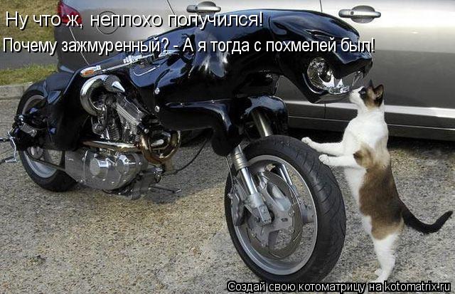 Котоматрица: Ну что ж, неплохо получился! Почему зажмуренный? - А я тогда с похмелей был!