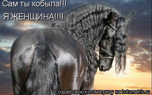 Котоматрица: Сам ты кобыла!!! Я ЖЕНЩИНА!!!!