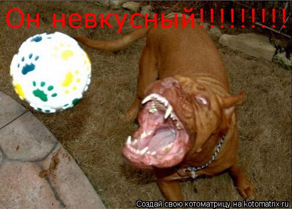 Котоматрица: Он невкусный!!!!!!!!!