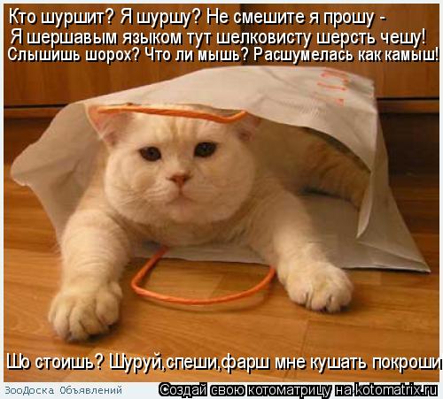 Котоматрица: Я шершавым языком тут шелковисту шерсть чешу! Кто шуршит? Я шуршу? Не смешите я прошу - Шо стоишь? Шуруй,спеши,фарш мне кушать покроши! Слышиш