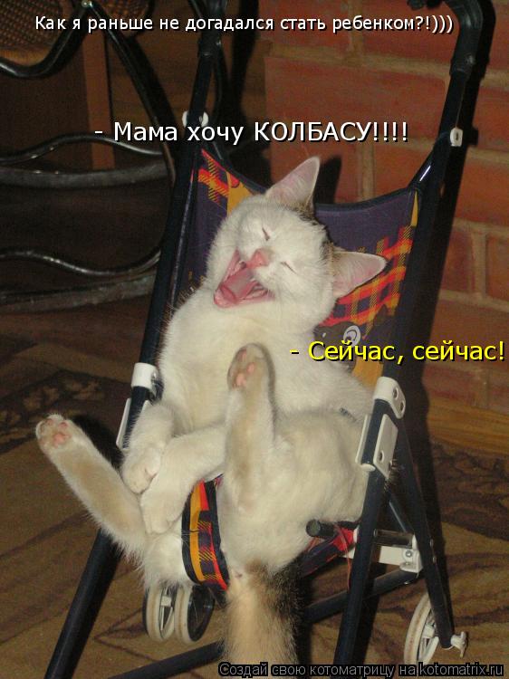 Котоматрица: - Сейчас, сейчас! Как я раньше не догадался стать ребенком?!)))  - Мама хочу КОЛБАСУ!!!!