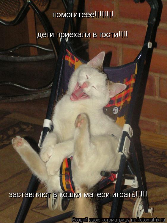 Котоматрица: помогитеее!!!!!!!! дети приехали в гости!!!! заставляют в кошки матери играть!!!!!