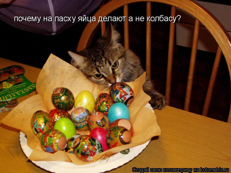 Котоматрица: почему на пасху яйца делают а не колбасу?