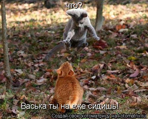 Котоматрица: Васька ты на еже сидишь! что?