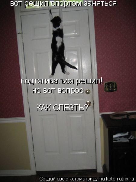 Котоматрица: вот решил спортом заняться  подтягиваться решил! но вот вопрос КАК СЛЕЗТЬ?