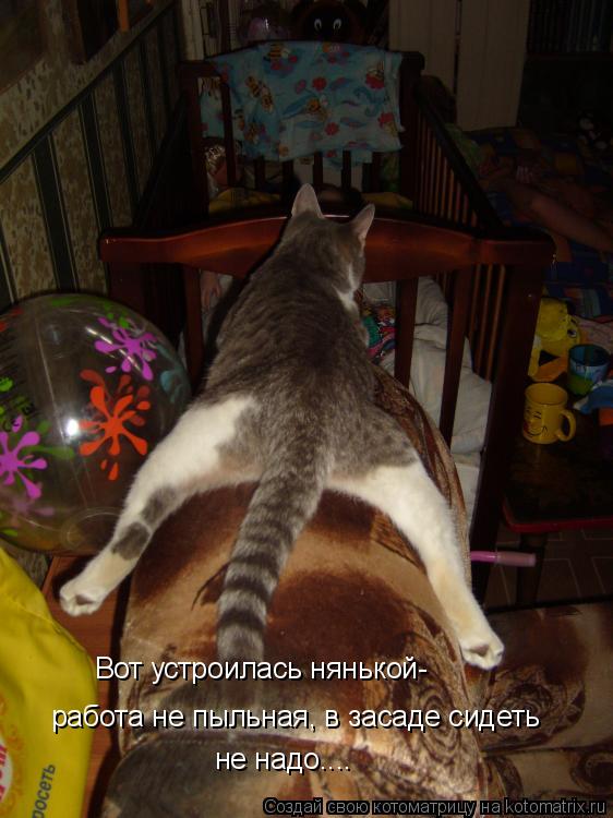 Котоматрица: Вот устроилась нянькой- работа не пыльная, в засаде сидеть  не надо....