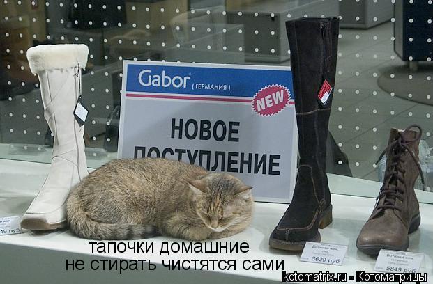 Котоматрица: тапочки домашние не стирать чистятся сами